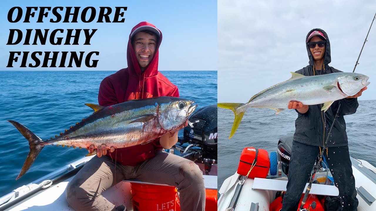 INFLATABLE BOAT TUNA AND YELLOWTAIL!! Offshore Dinghy Fishing