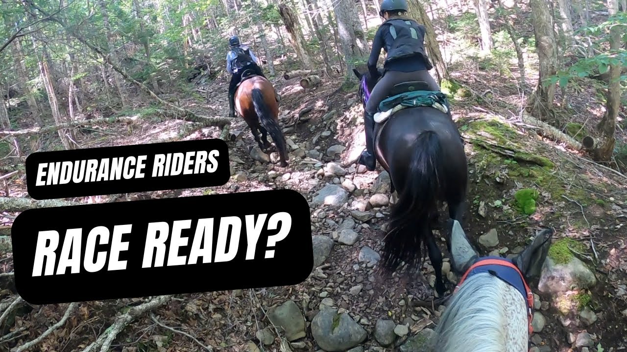 2 WEEKS ENDURANCE RACE 🏇🏼Journey to 100 Miles🏇🏼 GoPro