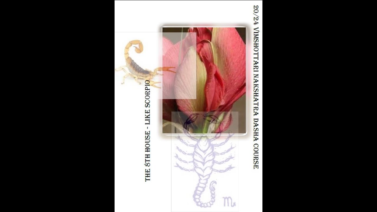 8th House - Death, Inheritance, Psychology - Vimshottari Nakshatra Dasha Astrology Course 20/24