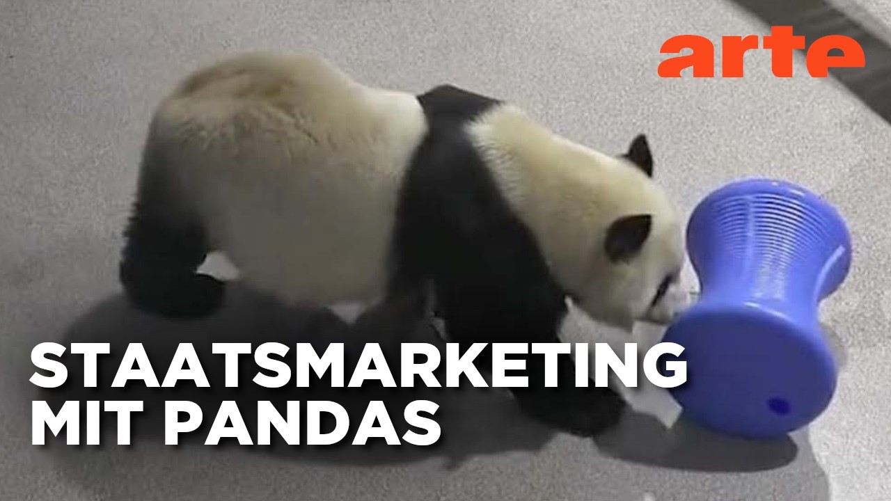 Pandas als politische Waffe | Mit offenen Augen | ARTE