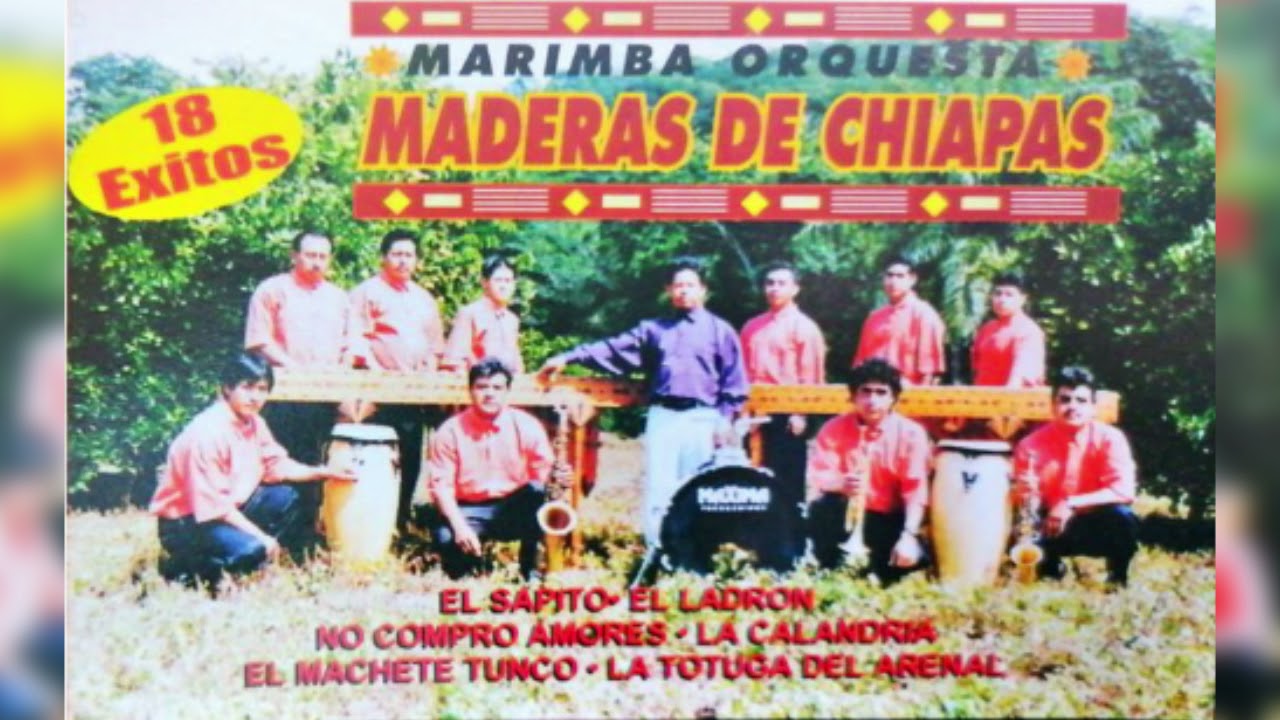 01 POP RANCHERO LA BASURITA, JEFE DE JEFES, POR UNA MUJER CASADA, NO COMPRO AMORES, TUMBA FALSA, LA