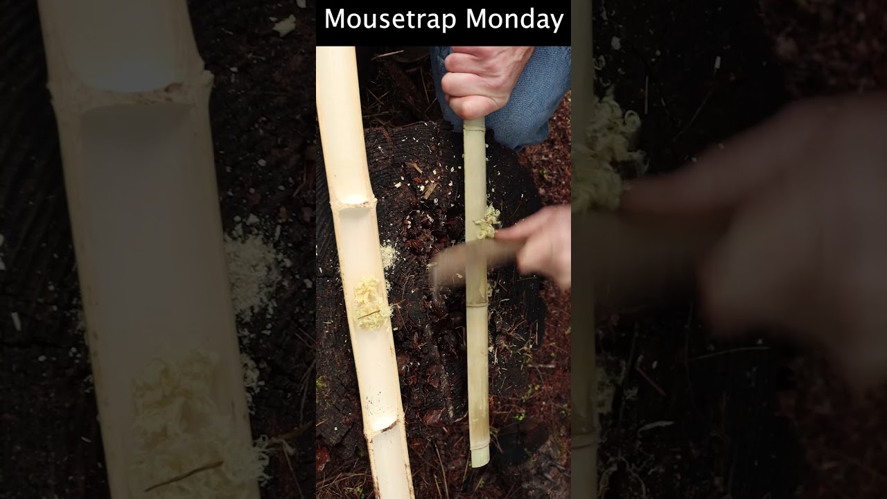 Bamboo Fire Saw - How To Make A Survival Survival Fire With Bamboo