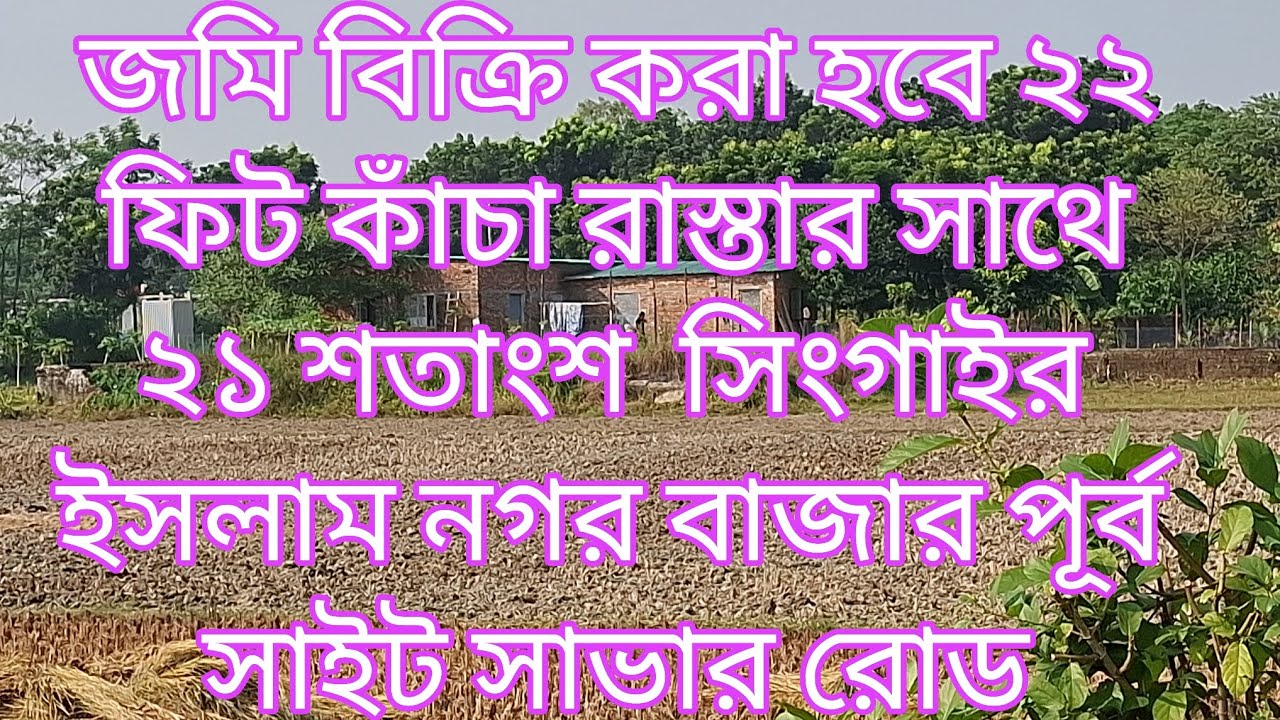 জমি বিক্রি করা হবে২২ফিট কাচা রাস্তার সাথে ২১ শতাংশ সিংগাইর #viralvideo #youtube #viral #sale #land 