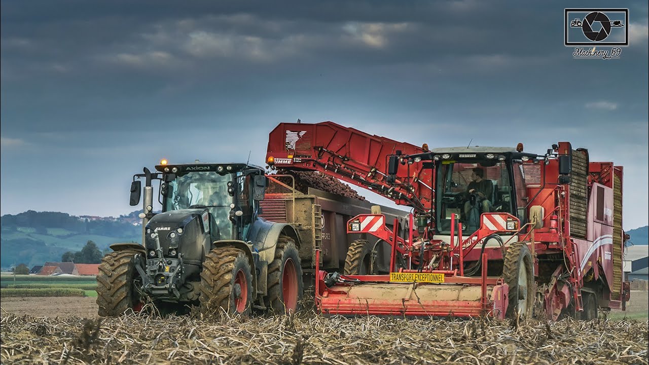 Claas Axion 870 Black au Arrachage de PDT / Grimme Varitron 470 TT