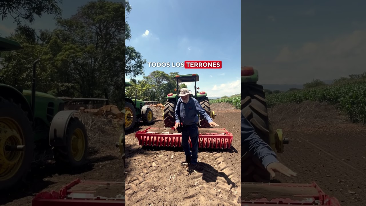 El SECRETO del Rey del Ma&iacute;z que NO PUEDES PERDERTE🌽 #shorts  #agricultura