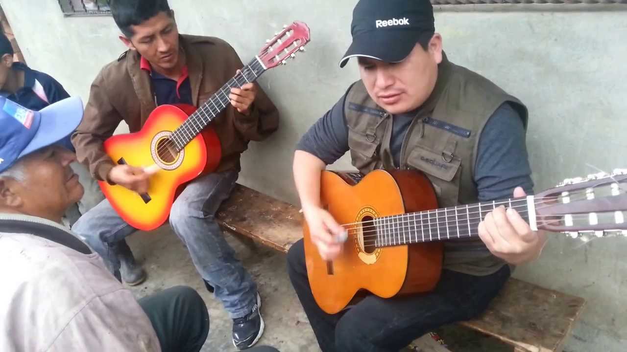 Carnaval de Malpote Naranjal del 2014