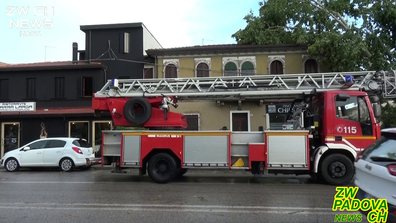 Albero cade contro una casa, l'intervento dei Vigili del Fuoco PT1