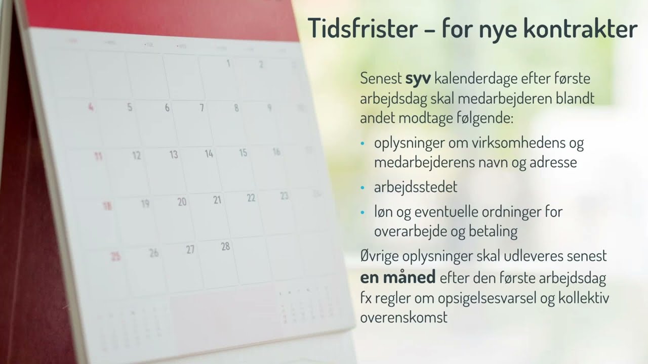 Her er de mest markante ændringer i den nye lov om ansættelsesbeviser