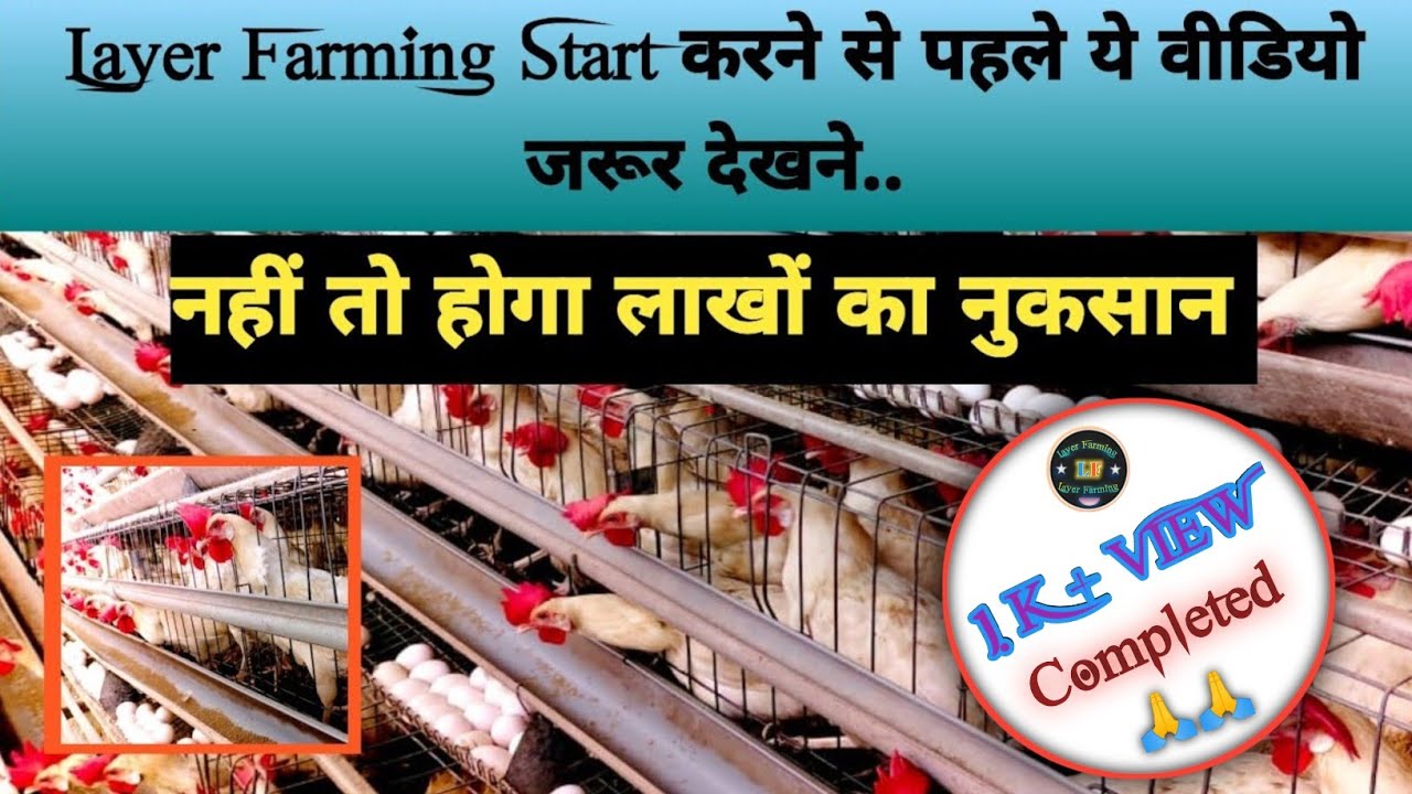 Layer Farming Start करने से पहले ये वीडियो जरूर देखें // Layer Farming // #farming