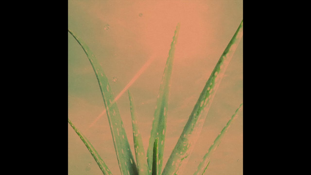 Some Sprouts - Aloe Vera (Clear My Mind) (Official Audio)