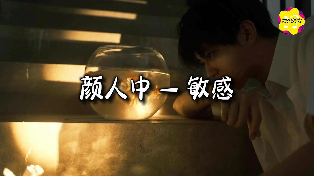 颜人中 - 敏感『关于我收敛 情绪大概复杂，敏感的弧线 拉长了两三下。』【动态歌词MV】