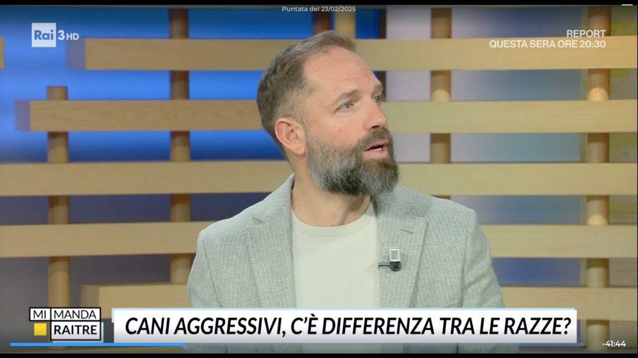 Angelo Vaira: cani, razze, aggressioni e sicurezza