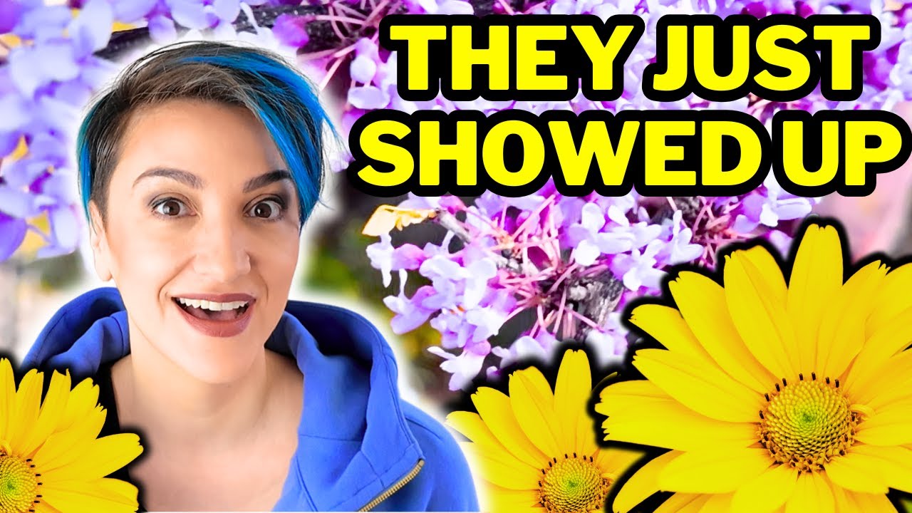 How I get FREE PLANTS Every Year: NATIVE PLANT GARDEN TOUR