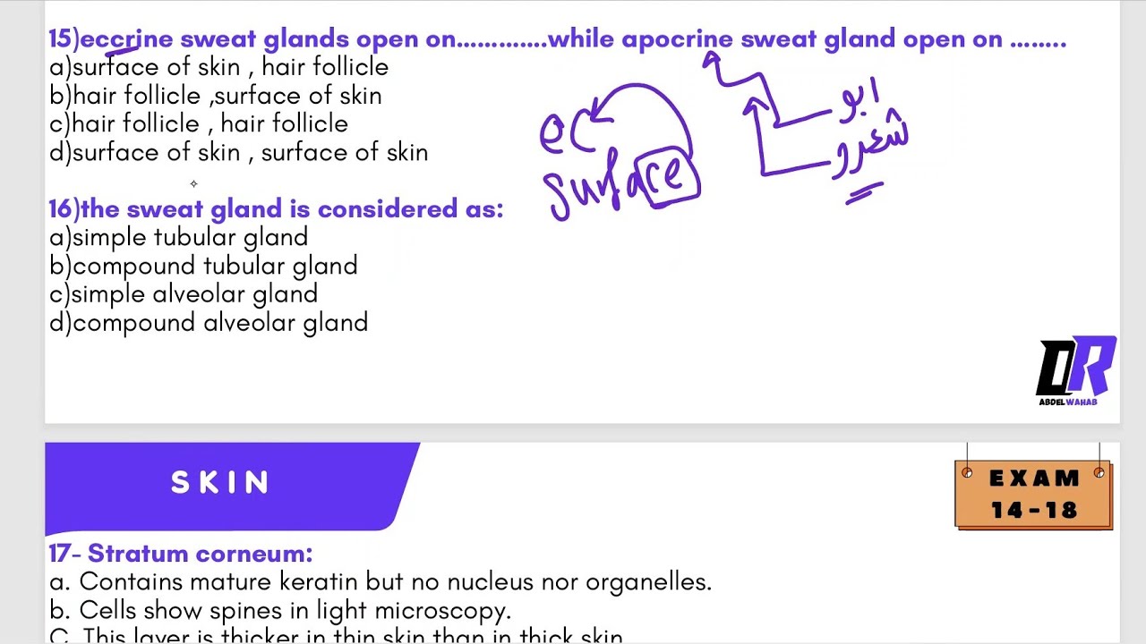 Skin MCQ Solving -《 أسئلة السنين السابقة - قصر العيني 199 》- د/عبدالوهاب 