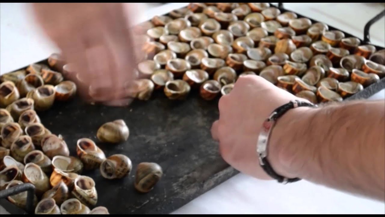 Un bon català hauria de... menjar caragols a Lleida