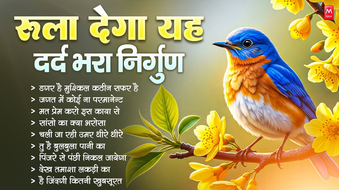 रुला देगा यह दर्द भरा निर्गुण भजन | Nonstop Nirgun Geet | Chetawani Bhajan 2025 | Nirgun Bhajan 2025