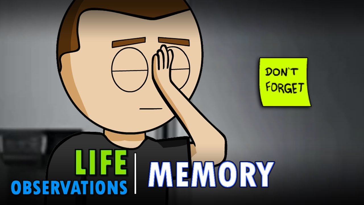 Life Observations: Memory