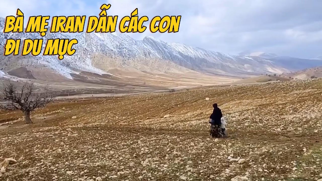 Mẹ Đơn Thân Du Mục Dựng Nhà Trong Núi Tuyết | Hành Trình Sinh Tồn Cảm Động Cùng Con Gái Nhỏ