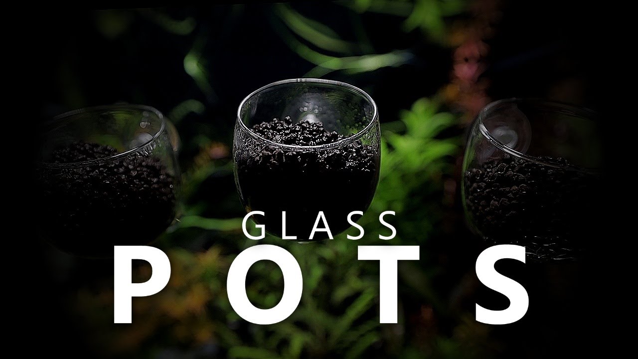Aquarium Glass Plant Pots