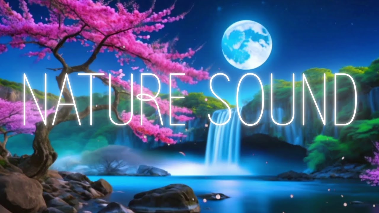 MUSICA ZEN per meditare profondamente, SUONI DELLA NATURA per addormentarsi