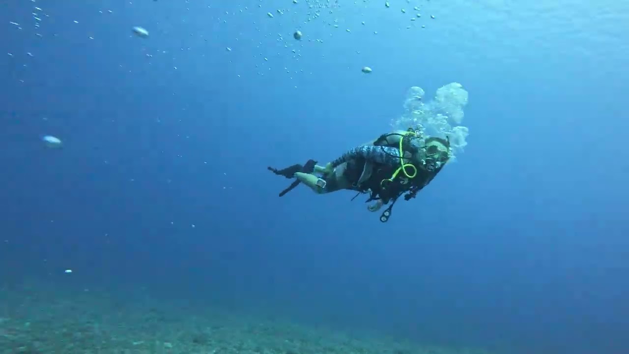 First Dive at Turtle Rock
