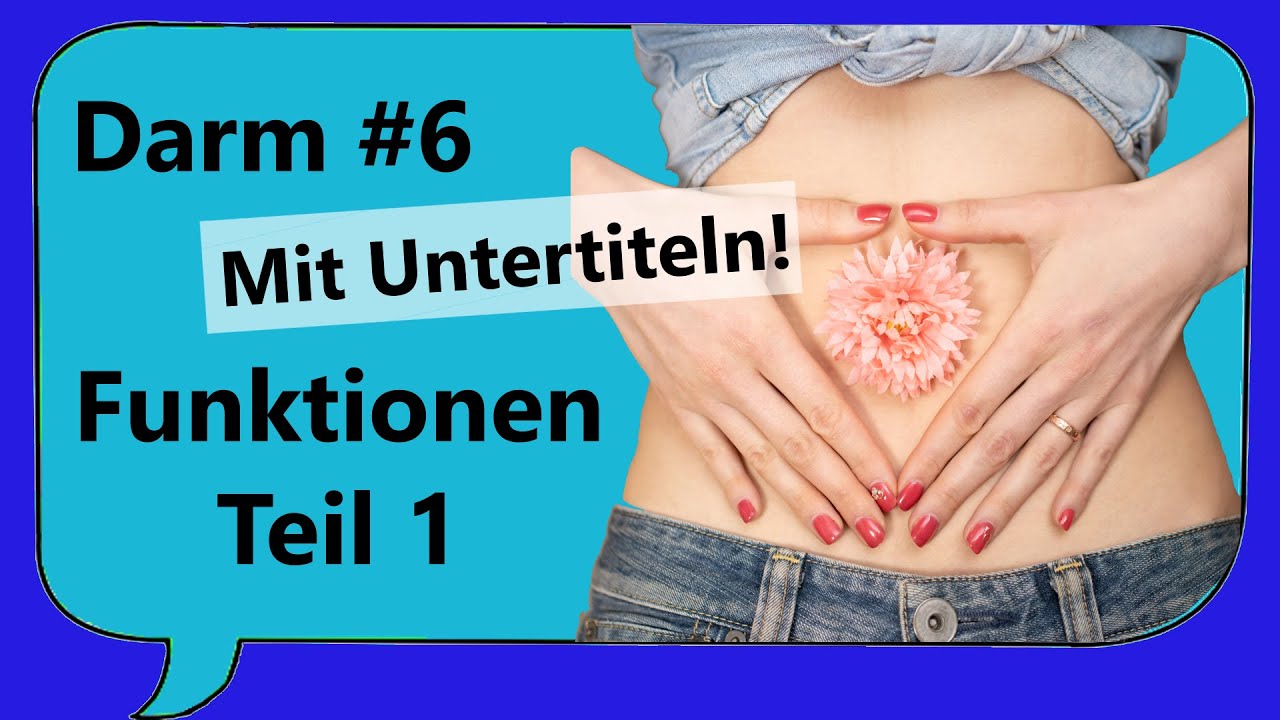 Darmfunktionen 1/ Stuhl, Mikrobiom, Darm-Hirn-Achse, Immun-,  Nervensystem [Krankheiten verstehen]