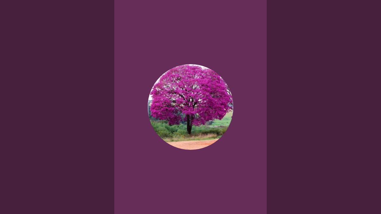 मानवता ही कर्म का फल है is live!