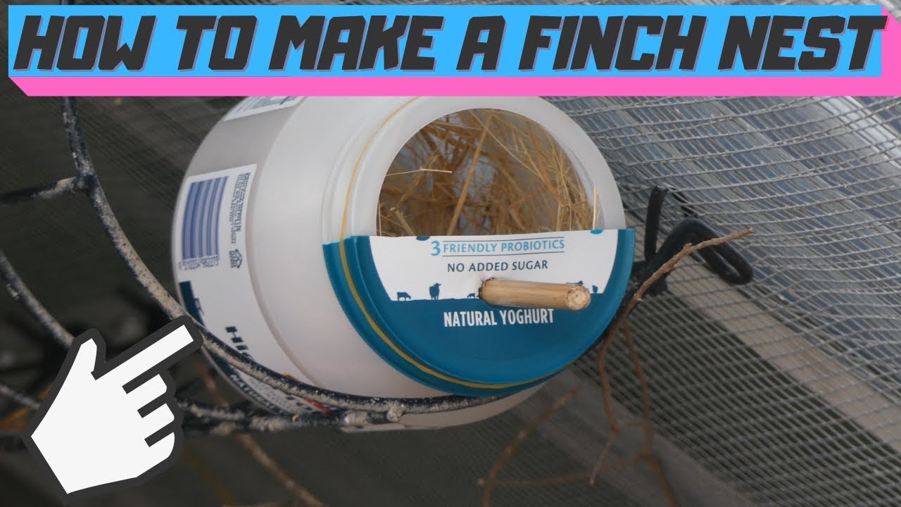 How to Make Finch Nests