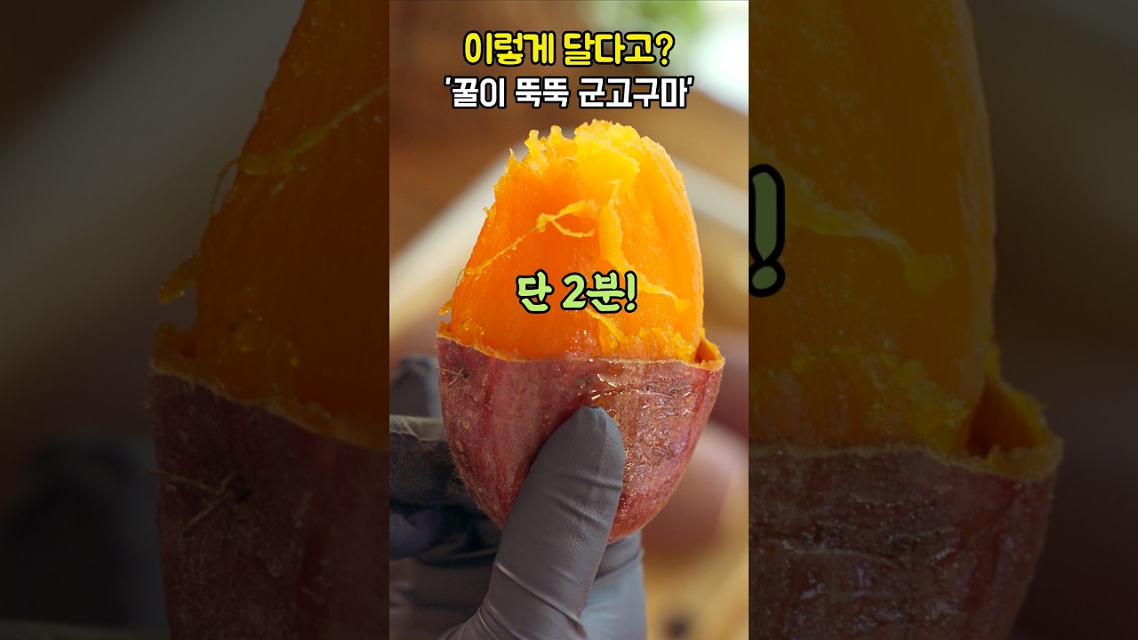 SNS에서 핫한 꿀고구마🔥에프 군고구마 저장각💯 #군고구마 #레시피 #자취요리