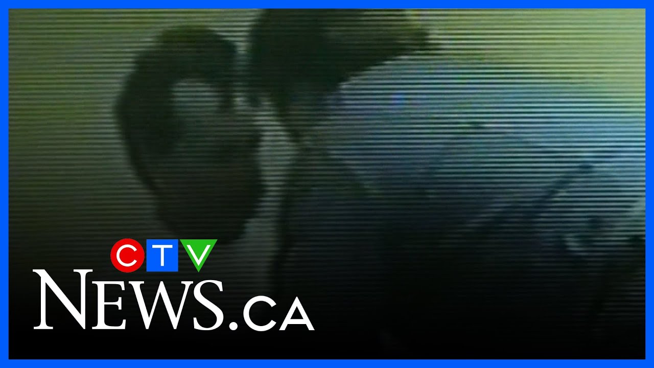 Historical crime: 1994 double murder in Sherwood Park