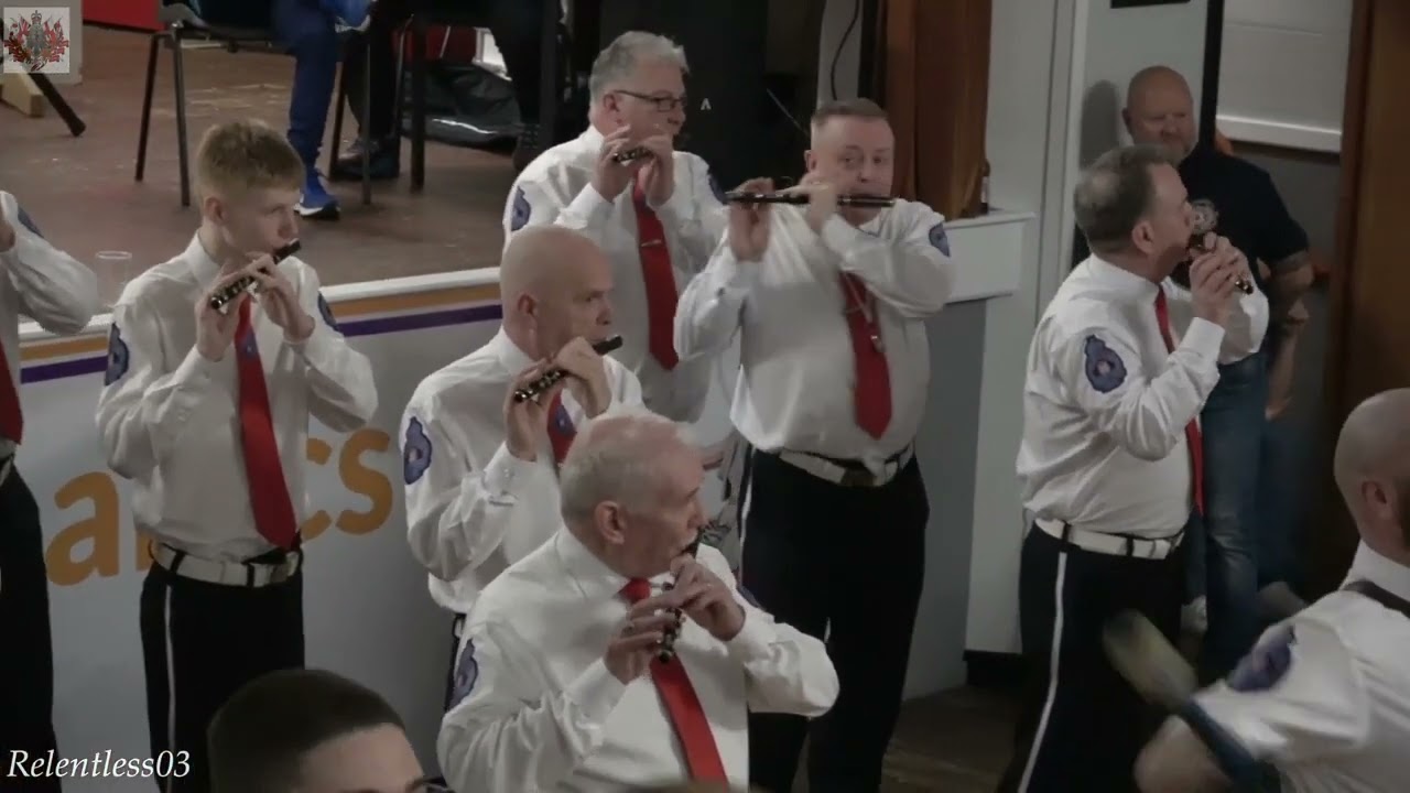 Whiterock Flute Band Lisburn Mechanics LOL 557 indoor 10th Feb 2024 full clip Video by Relentless03
