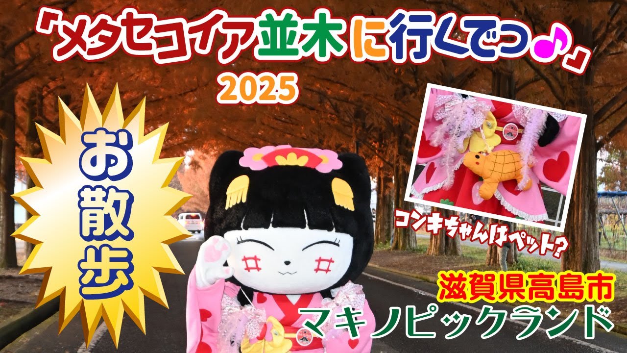 【お散歩】真っ赤なメタセコイア並木に行く！栗買えた？