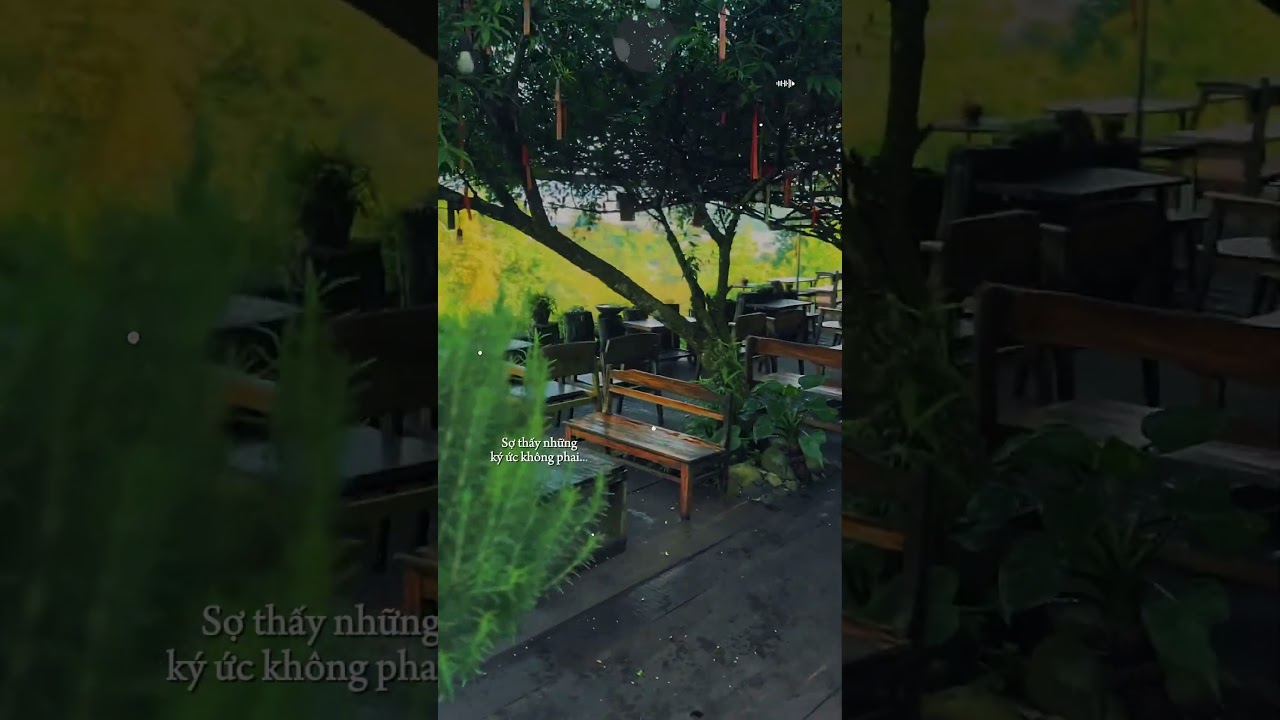 Đ&agrave; Lạt c&ograve;n mưa k em....#thongdong #thongdongdalat #dalat #muadalat #caphedalat