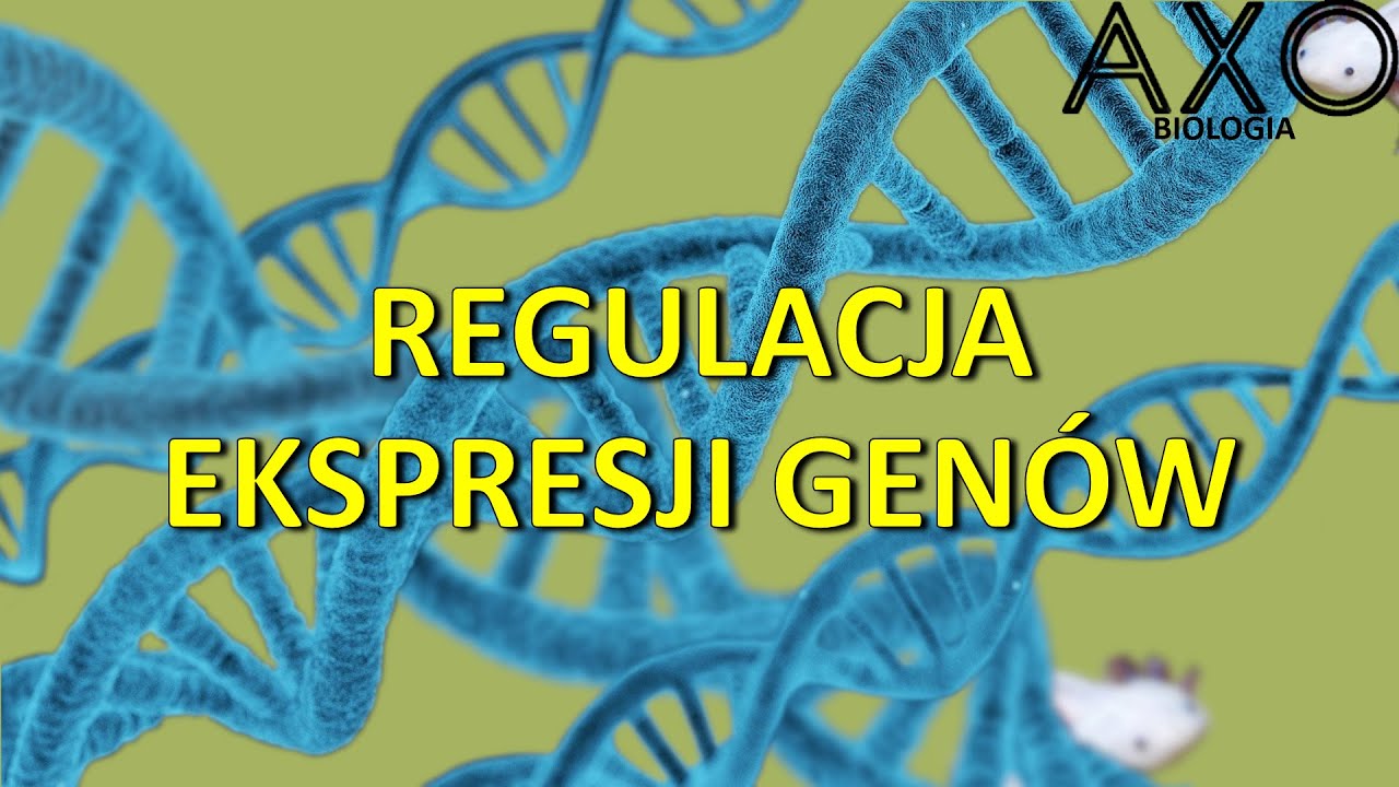 107. Regulacja ekspresji gen&oacute;w