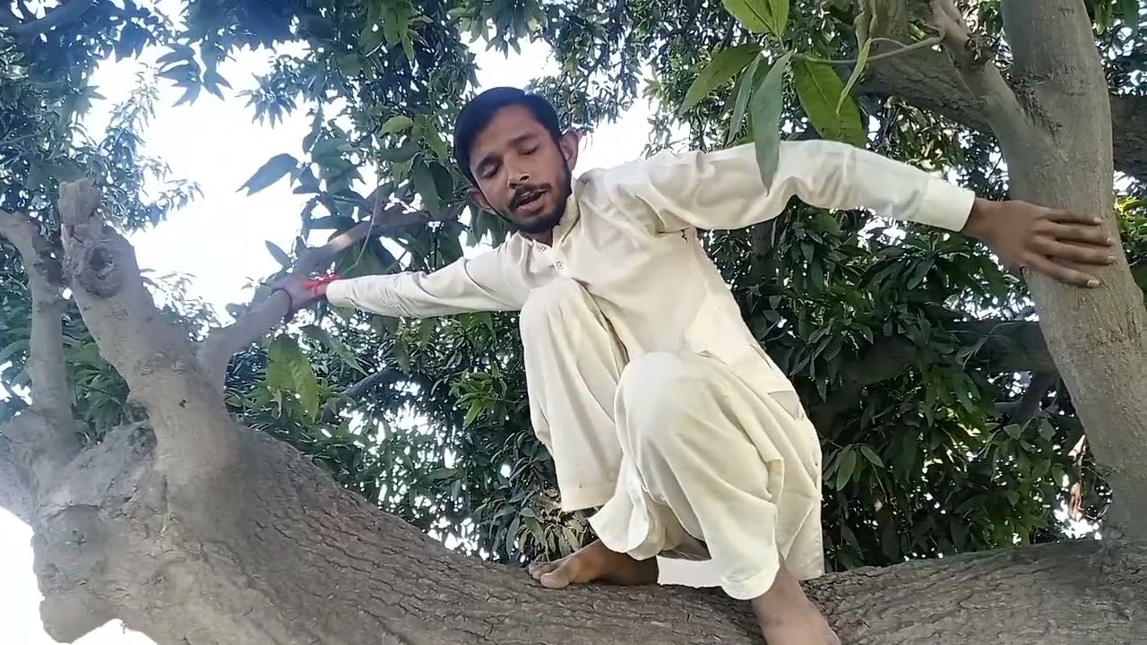 badmash nikla darpok 🤣🤣🤣