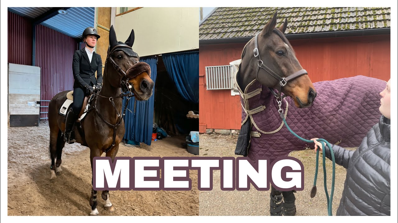Meeting i GREVAGÅRDEN | Del 1
