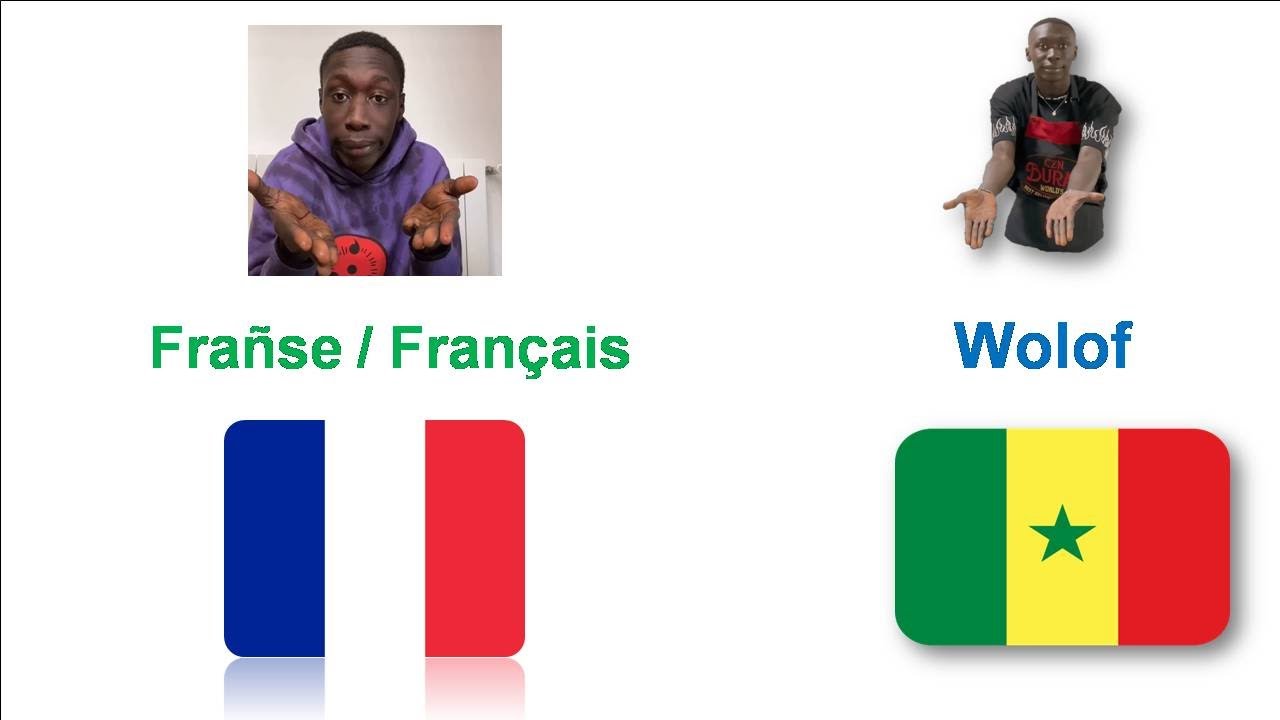 Jàng Frañse - Français / Wolof/ / Lesson 1_ Expressions You Need to Know in French and Wolof