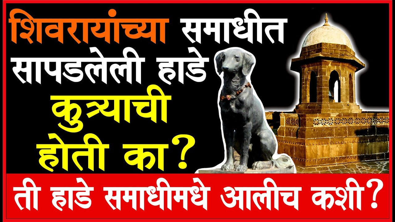 ती हाडे जळालेली होती का? एका धक्कादायक आणि गूढ घटनेचा शोध!