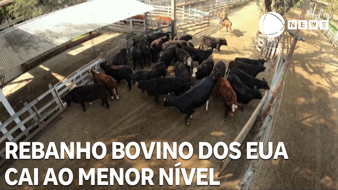 Rebanho bovino dos EUA cai ao menor nível em 75 anos