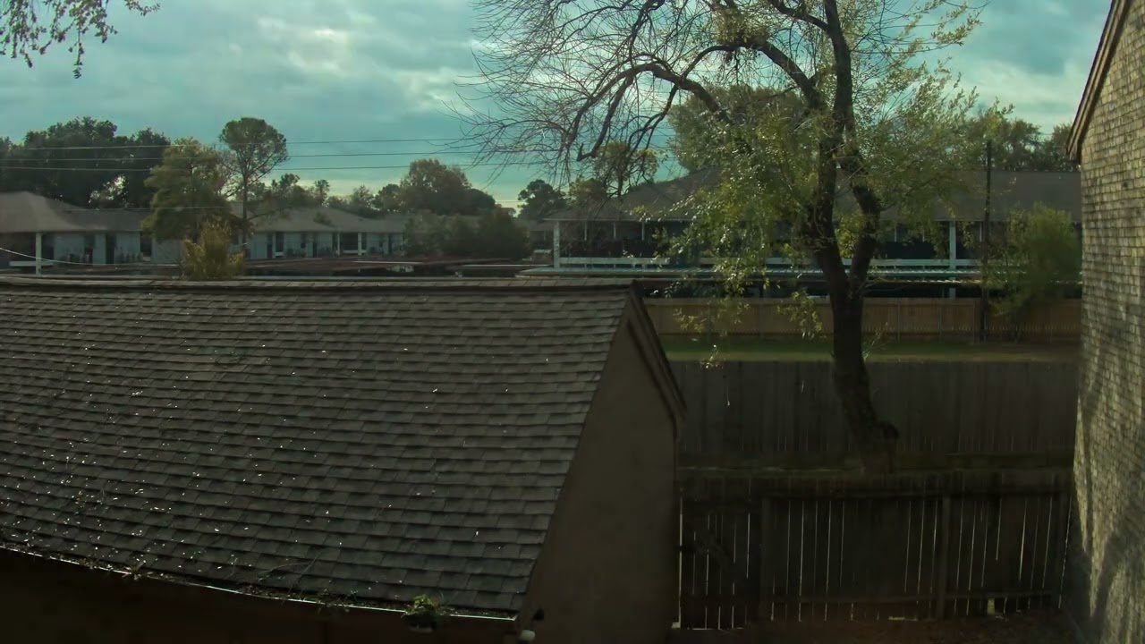 Backyard Timelapse 20260120