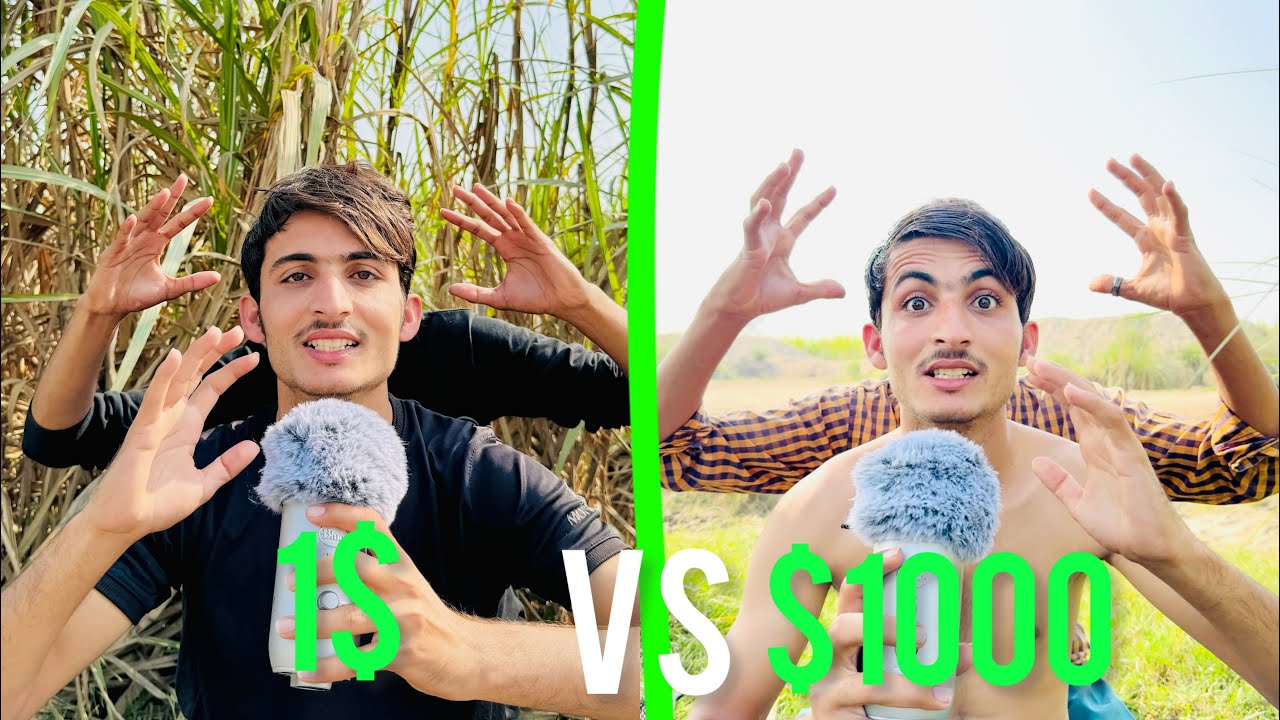 $1 Head Massage VS $1000 Head Massage [ASMR]