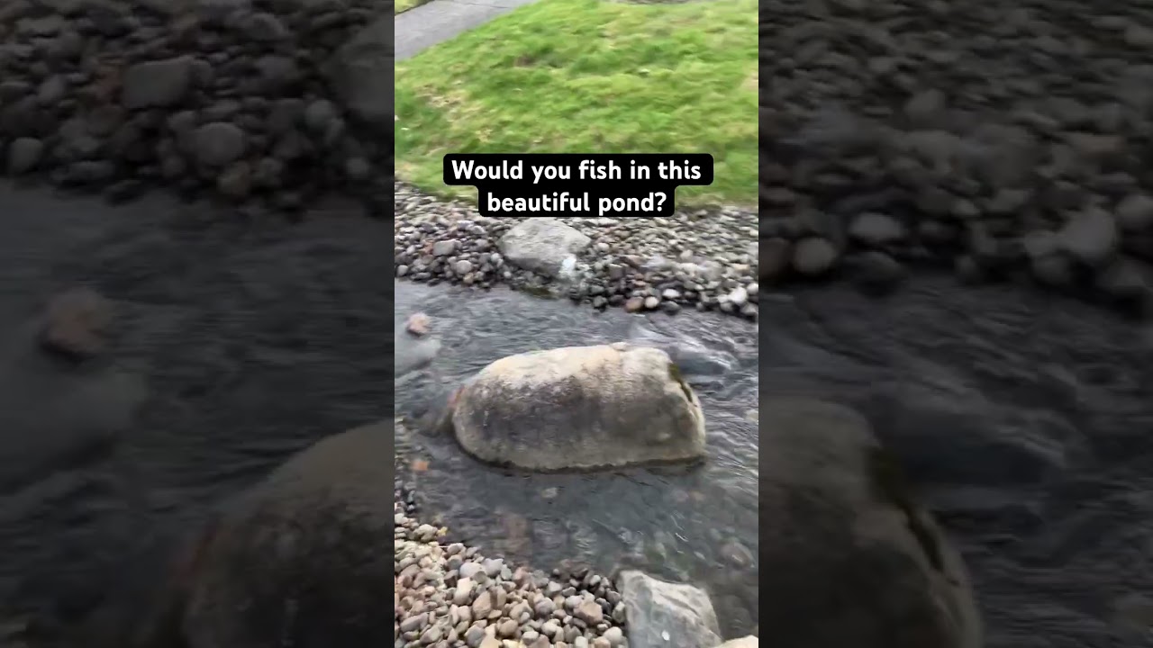 Would you fish here? #nature #fishing #pondfishing #ponds