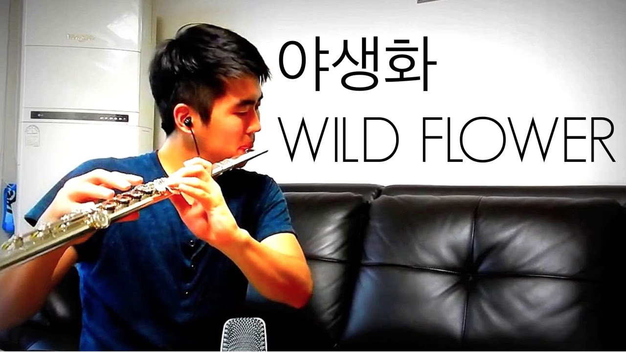 박효신 (Park Hyo Shin) - 야생화 (Wild Flower) Flute Cover