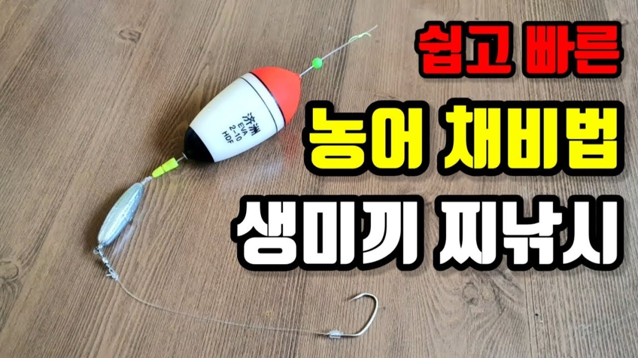 농어 채비법 생미끼 찌낚시