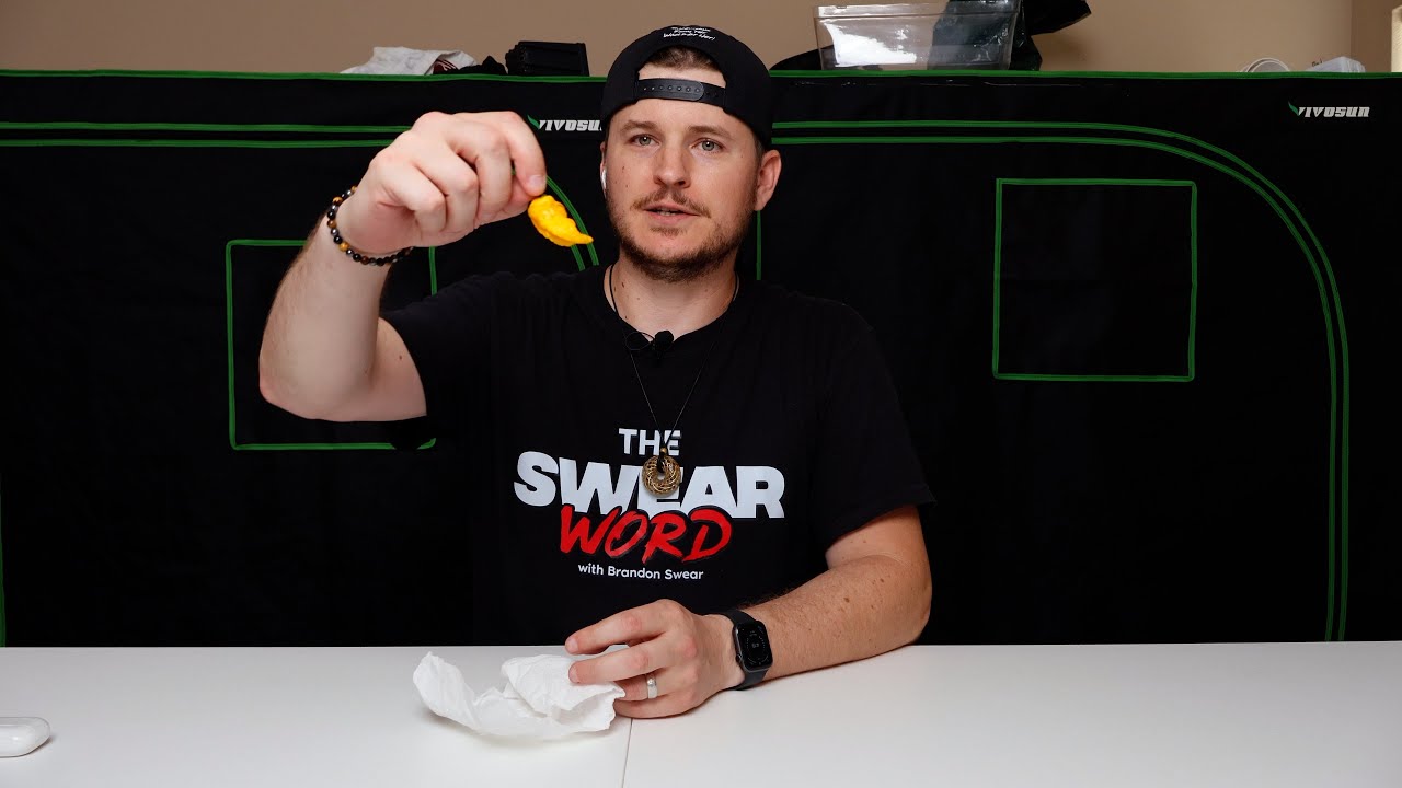 Killer Yellow from Tom Broome! Featured Pod from Hulu Superhot!