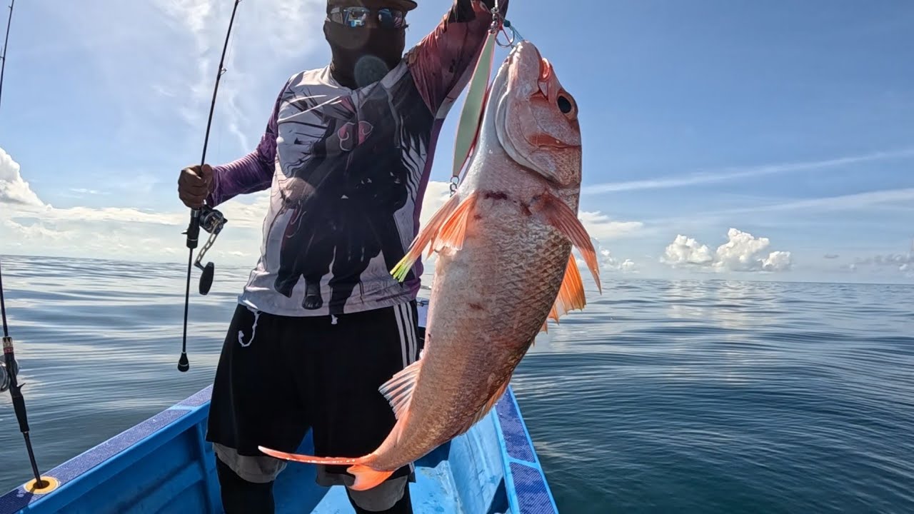 Umpan Turun, Monster Naik! Spot Jigging Paling Barbar !!!