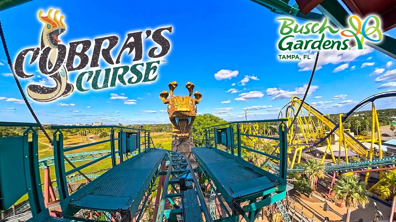 Cobra's Curse Roller Coaster On Ride Front Seat 4K POV with Queue Busch Gardens Tampa 2025 10 16