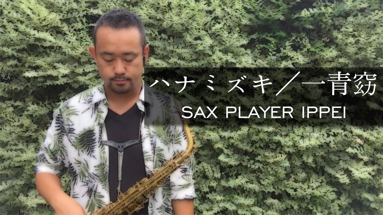 【ハナミズキ／一青窈】アルトサックスで演奏【SAX PLAYER IPPEI】