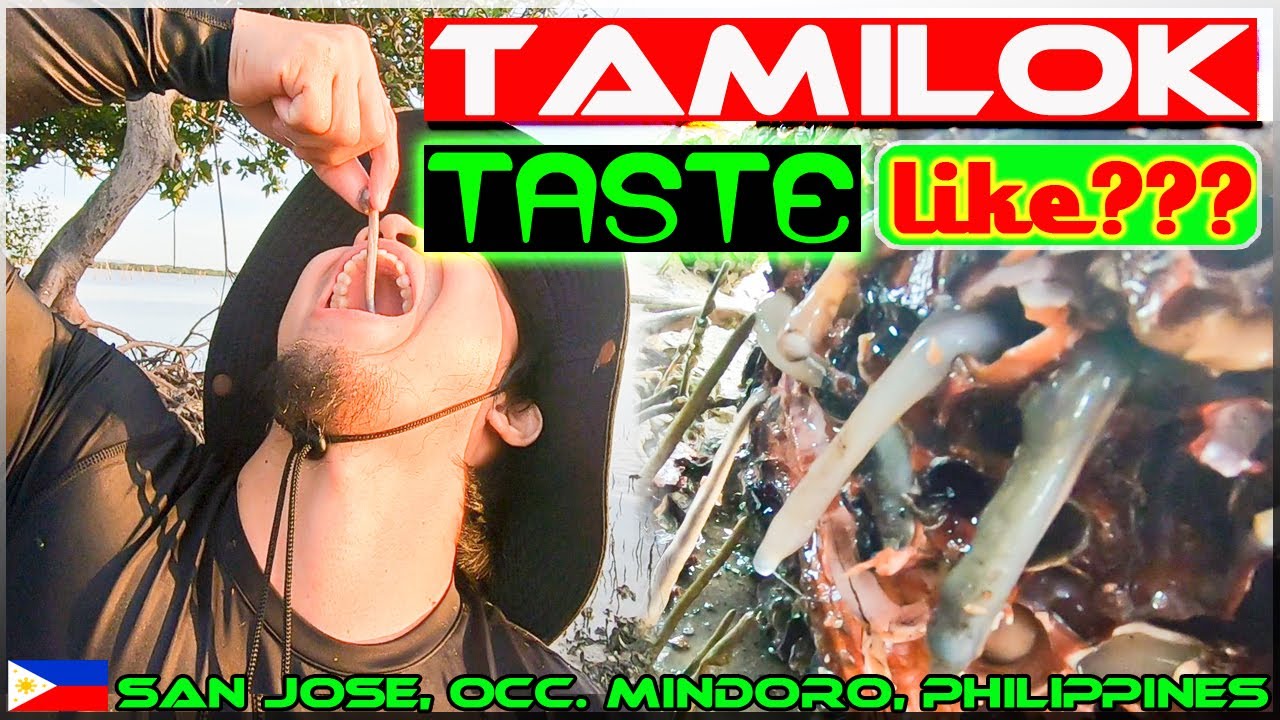 EP33 - Tamilok (Woodworm) Filipino Exotic Food Taste Like???