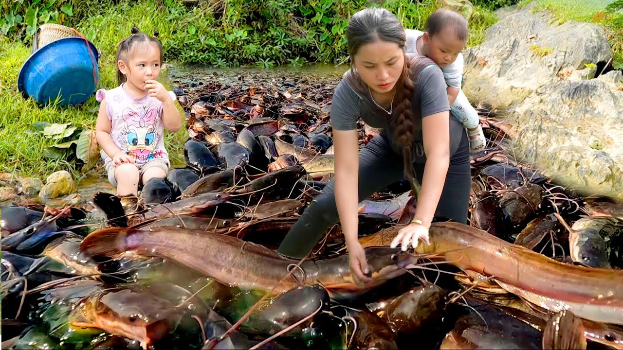 Catching Over 100kg of GIANT FISH in the Rain – Cook Delicious Porridge for My Little Girl
